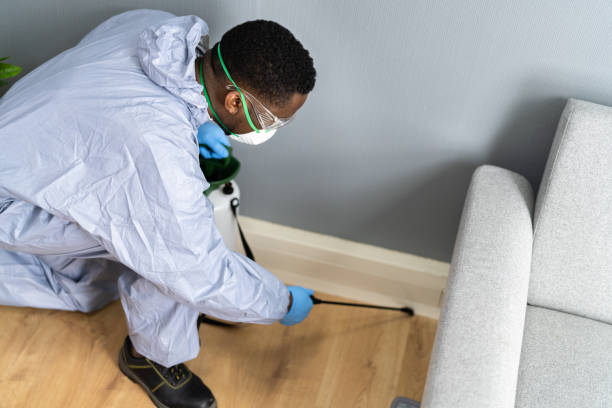 Real Estate Pest Inspections in Ohioville, PA